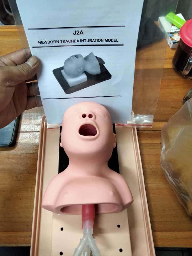 MODEL INTUBASI TRACHEA BAYI 